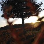 Danni Stephenson - @danni_jo_photography - Instagram