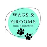 Danni Taylor - @wags.and.grooms - Instagram