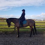 Danni Taylor 💖 - @dct.equestrian - Instagram