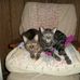 Dannie Clark - Facebook