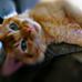 Dannie Davis - Facebook