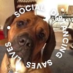 Dannie King - @lorkogefyo - Instagram