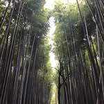Danning Jiang - @jdanning - Instagram