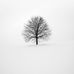 Danning XU - Facebook