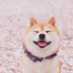 Danning zhang - @27.59300076 - Instagram