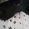 Danny - @reabledanny234 - TikTok