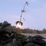 Danny Abner - @invertacilb182 - Instagram