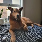 Danny Abrego - @dannyabrego - Instagram