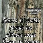 Danny Abril Quispe Sanchez - @dannyabrilquispesanchez - Instagram