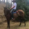 Danny Adames - @dannyadames0 - TikTok