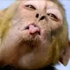 Danny Adames - @danny.adames5 - TikTok