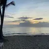 Dan Adamson - @dan.adamson - TikTok