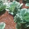 AddyDanny - @addydanny7 - TikTok