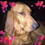 Danny Adkison - @marsha.carey.165 - Instagram