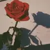 Danny Alejos - @dannyalejos0 - TikTok