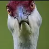 Danny Allan - @danny.allan7 - TikTok