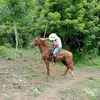 Danny Andrade - @danny.andrade47 - TikTok