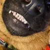 user6005269460530 - @dannyandruss2250 - TikTok