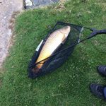Danny - @danny_angling - Instagram