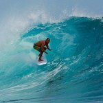Danny Angulo, DC - @nschiroclinic - Instagram