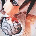 Danny Aravena - @dannyantonioaravena - Instagram