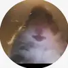 user5928819370785 - @danny_apple56 - TikTok