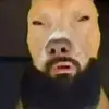 danny_applegate2000 - @danny_applegate2000 - TikTok