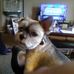 Danny Arbuckle - Facebook