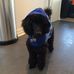 Danny Archer - Facebook