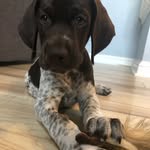 Danny Archer - @thedannyarcher - Instagram