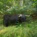 Daniel Armbruster - Facebook
