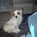 Danny Armbruster - Facebook