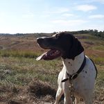 Danny Ashcraft - @danny.ashcraft.58 - Instagram