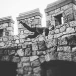 Danny Aston - @danny_bmx - Instagram