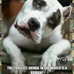 Danny Atchison - Facebook