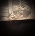 Danny Atkinson - Facebook