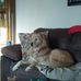 Danny Atwell - Facebook