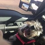 Danny Barbee - @danny.hello.79 - Instagram