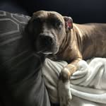 Danny Barlow - @dannybarlow1420 - Instagram
