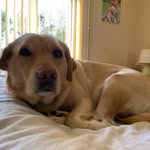 Danny Benton - @danny.benton.104 - Instagram