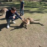 Danny Bone - @dannybone1 - Instagram