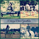 Danny Bone Equestrian - @dannyboneequestrian - Instagram