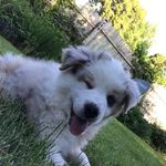 Boone Cochran - @danny.boone.jr - Instagram