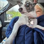 Danny Bowen - @dhbowen1959 - Instagram