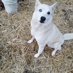 Danny Bowles - @danny.bowles.50 - Instagram