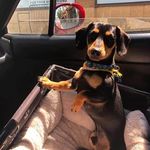 Danny Brill - @raiderdanny1951 - Instagram