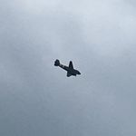 Danny Brill - @brill_danny - Instagram