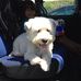 Danny Broderick - Facebook
