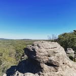 Danny Busch - @dvbusch - Instagram
