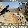 DANNY CALVILLO LÓPEZ - @danny_calvillo - TikTok